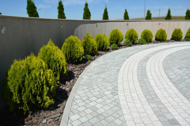 Best Driveway Paving Contractor  in Caddo Mills, TX